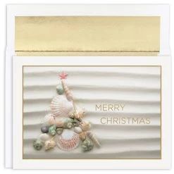 New 😍 JAM Paper Shell 🎄 Christmas Cards & Envelopes Set 🥰