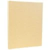 Hot Sale π JAM Paper Antique Gold 8.5" x 11" Parchment Cardstock, 250 Sheets β 1 Hot Sale π JAM Paper Antique Gold 8.5" x 11" Parchment Cardstock, 250 Sheets β -Jam Paper Shop D341873S 1