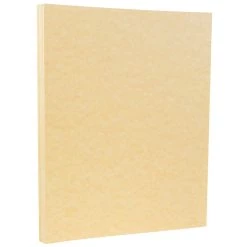 Hot Sale π JAM Paper Antique Gold 8.5" x 11" Parchment Cardstock, 250 Sheets β