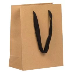 Top 10 π― JAM Paper Medium Kraft Matte Heavy Duty Gift Bags, 3ct. β€οΈ