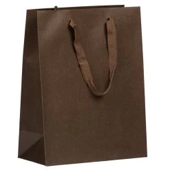 Wholesale π JAM Paper Large Chocolate Brown Matte Heavy Duty Kraft Gift Bags, 3ct. π