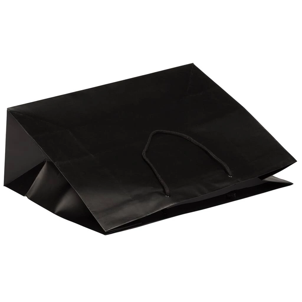 Best Sale π JAM Paper X-Large Black Matte Gift Bags, 100ct. π₯° 6 Best Sale π JAM Paper X-Large Black Matte Gift Bags, 100ct. π₯° - Image 4