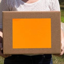 Best Sale 😀 JAM Paper Neon Orange Full Sheet Shipping Labels, 8.5" x 11" 👏 -Jam Paper Shop D342608S 5