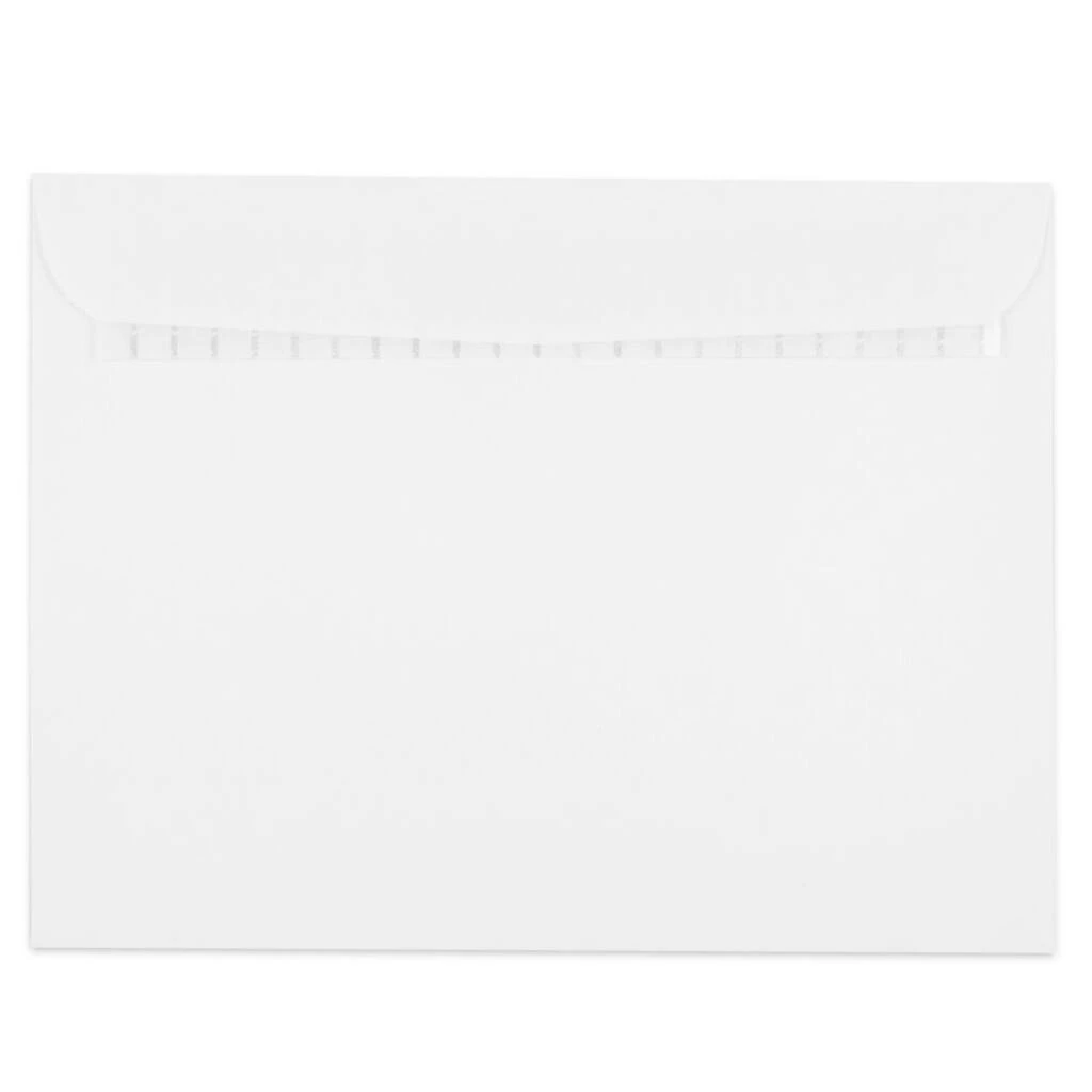 Wholesale π€© JAM Paper 9.5" x 12.5" White Booklet Commercial Envelopes, 50ct. β 3 Wholesale π€© JAM Paper 9.5" x 12.5" White Booklet Commercial Envelopes, 50ct. β