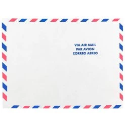 Top 10 π JAM Paper 9" x 12" White Airmail Tyvek Envelopes, 25ct. βοΈ