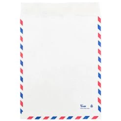 Top 10 😀 JAM Paper 9" x 12" White Airmail Tyvek Envelopes, 25ct. ✔️ -Jam Paper Shop D342888S 3