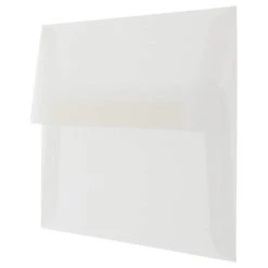 Top 10 🔥 JAM Paper A9 Clear Translucent Vellum Invitation Envelopes, 25ct. ⭐ -Jam Paper Shop D343111S 2