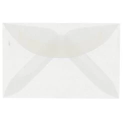 Coupon 🧨 JAM Paper 3Drug Clear Translucent Vellum Envelopes 100ct. 🔥