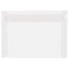 Coupon 🔔 JAM Paper 10" x 13" Translucent Clear Vellum Envelopes, 25ct. 😀 -Jam Paper Shop D343134S 1