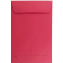 Flash Sale 🧨 JAM Paper 6" x 9" Red Open End Catalog Colored Envelopes, 50ct. ⌛