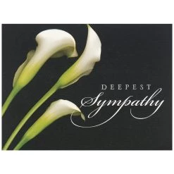 Best Pirce 🤩 JAM Paper 5.625" x 7.875" Sympathy Calla Lilies Cards & Envelopes, 25ct. 💯