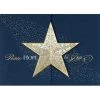 New 🔥 JAM Paper Star Gatefold Blank 🎅 Christmas Cards & Envelopes Set 🛒 -Jam Paper Shop D345041S 1