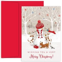 Wholesale 🥰 JAM Paper 5" x 7" Snowman & Friends Cards & Matching Envelopes Set, 18ct. ⭐