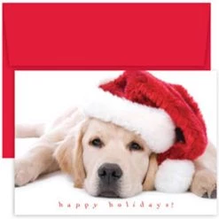 Wholesale 👏 JAM Paper Santa Puppy Blank 🎅 Christmas Cards Set, 18ct. ❤️