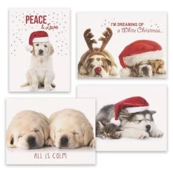 Outlet 🤩 JAM Paper Puppy Love Holiday Assortment Cards & Matching Envelopes Set, 16ct. 👏
