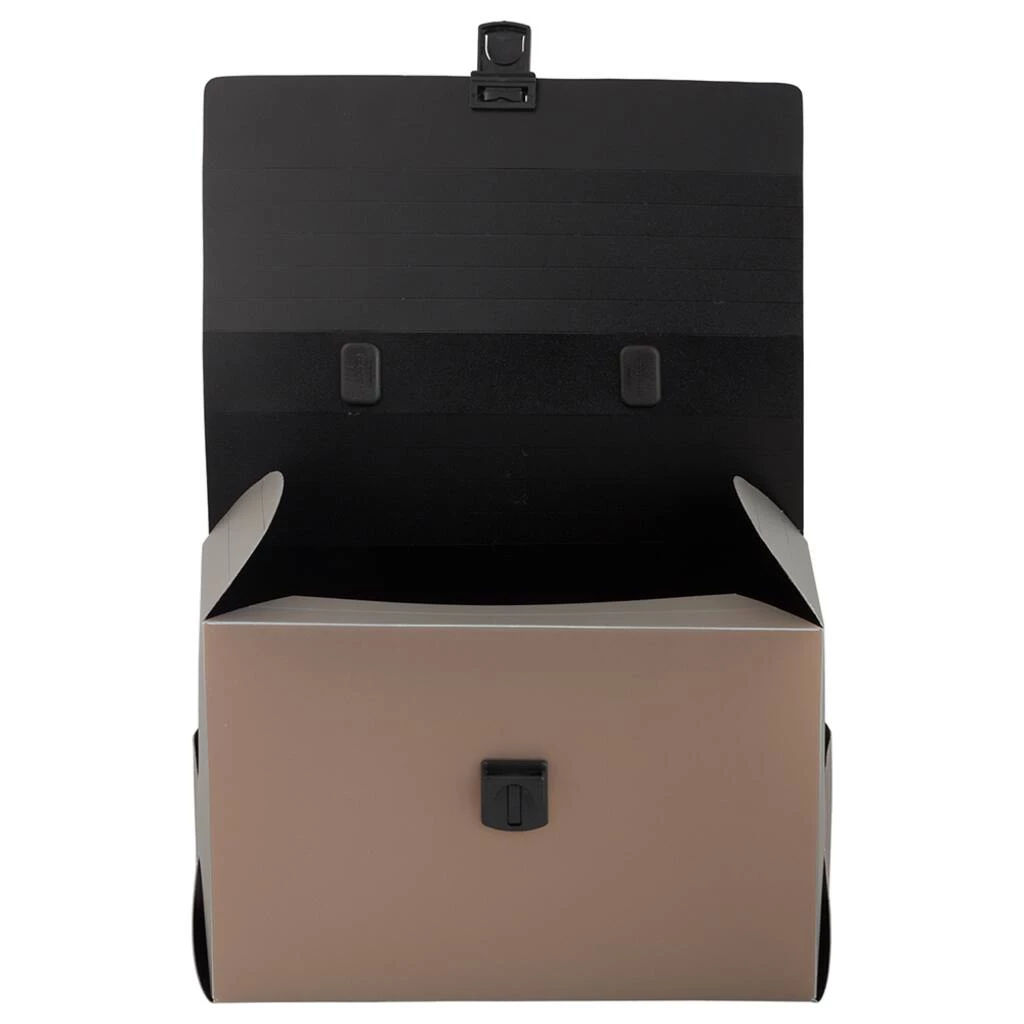 Deals π₯ JAM Paper Metallic Copper 6" x 9" Plastic Art Case Lunchbox π 5 Deals π₯ JAM Paper Metallic Copper 6" x 9" Plastic Art Case Lunchbox π - Image 3