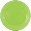 Best deal 🧨 JAM Paper 9" Lime Green Plastic Party Plates, 20ct. 🧨 -Jam Paper Shop D346330S 1