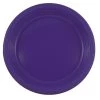 Flash Sale 🌟 JAM Paper 10.25" Purple Plastic Party Plates, 20ct. 👏 -Jam Paper Shop D346344S 1