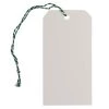 Buy 🔥 JAM Paper White Medium Premium Gift Tags with Green String, 10ct. 🔔 -Jam Paper Shop D346782S 1