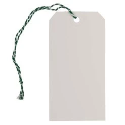 Buy 🔥 JAM Paper White Medium Premium Gift Tags with Green String, 10ct. 🔔