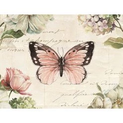 Hot Sale 🥰 JAM Paper 3.875" x 5" Vintage Butterfly Blank Note Card Set, 20ct. ✔️