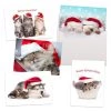 Best deal 🤩 JAM Paper Season's Greetings Holiday Cat Assortment Cards Set, 25ct. ⌛ -Jam Paper Shop D375336S 1