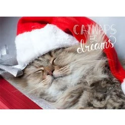 Best deal 🤩 JAM Paper Season's Greetings Holiday Cat Assortment Cards Set, 25ct. ⌛ -Jam Paper Shop D375336S 4