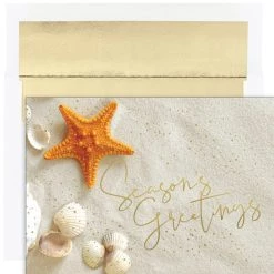 Budget 🎁 JAM Paper 5" x 7" Starfish Seasons Greetings Cards & Envelopes Set, 18ct. 🧨