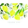 Wholesale 😀 JAM Paper Lemon Blossom Everyday Thank You Card Set, 20ct. 🔥 -Jam Paper Shop D375627S 1