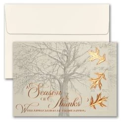 Deals 🌟 JAM Paper Blank Copper 👪 Thanksgiving Thank You Cards & Envelopes Set, 25ct. 👍