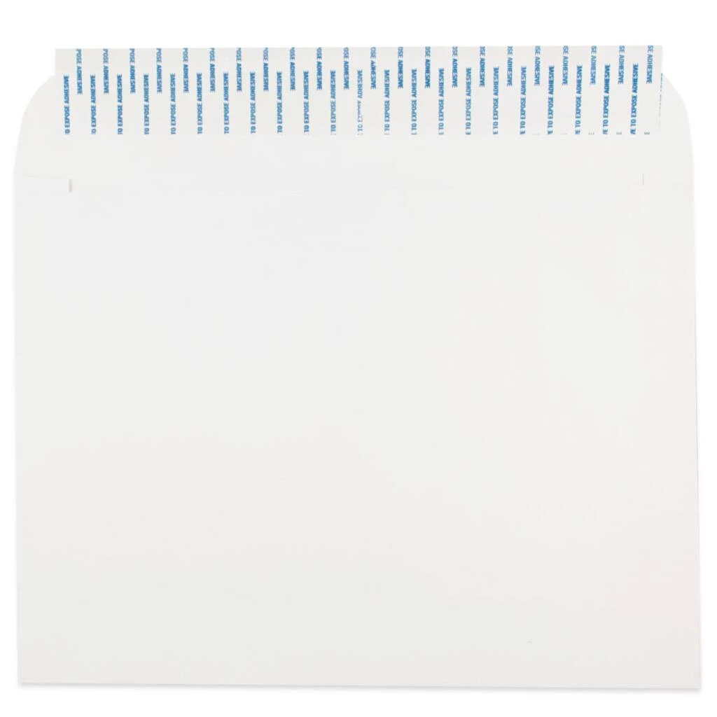 Buy π JAM Paper 9.5" x 12.5" White Commercial Booklet Envelopes, 500ct. π₯ 4 Buy π JAM Paper 9.5" x 12.5" White Commercial Booklet Envelopes, 500ct. π₯ - Image 2