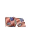 New βοΈ JAM Paper 10yd. Lady Liberty & Flag Wired Ribbon π₯° 2 New βοΈ JAM Paper 10yd. Lady Liberty & Flag Wired Ribbon π₯° -Jam Paper Shop D381007S 1