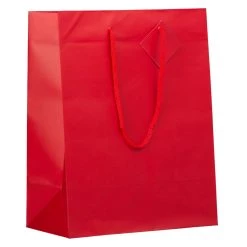 Brand new 🧨 JAM Paper Large Matte Gift Bag, 3ct. 💯