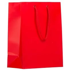 New π JAM Paper Medium Gift Bags with Rope Handles, 100ct. β