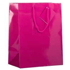 Brand new 😀 JAM Paper Large Glossy Gift Bags with Rope Handles, 3ct. 😍