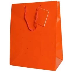 Cheapest 🔔 JAM Paper Large Glossy Gift Bags, 6ct. ⭐