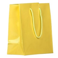 Buy 🤩 JAM Paper Medium Glossy Gift Bags, 3ct. 💯