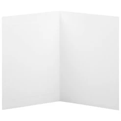 Brand new 🎁 JAM Paper 4.62" x 6.25" Bright White Wove Panel Blank Foldover Cards 🧨 -Jam Paper Shop M20009548 3